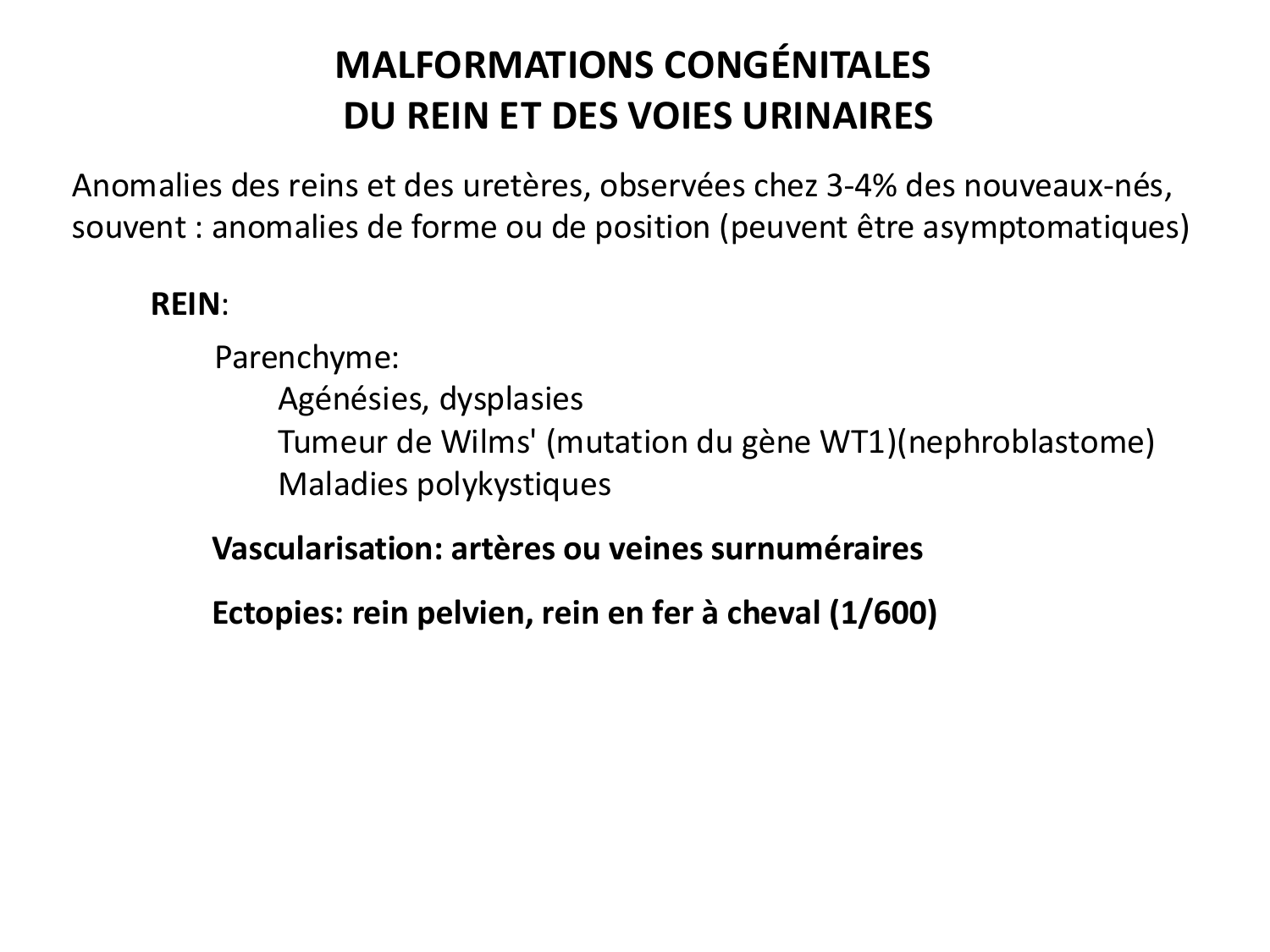 Dév Système Urinaire 2025-26 page 63