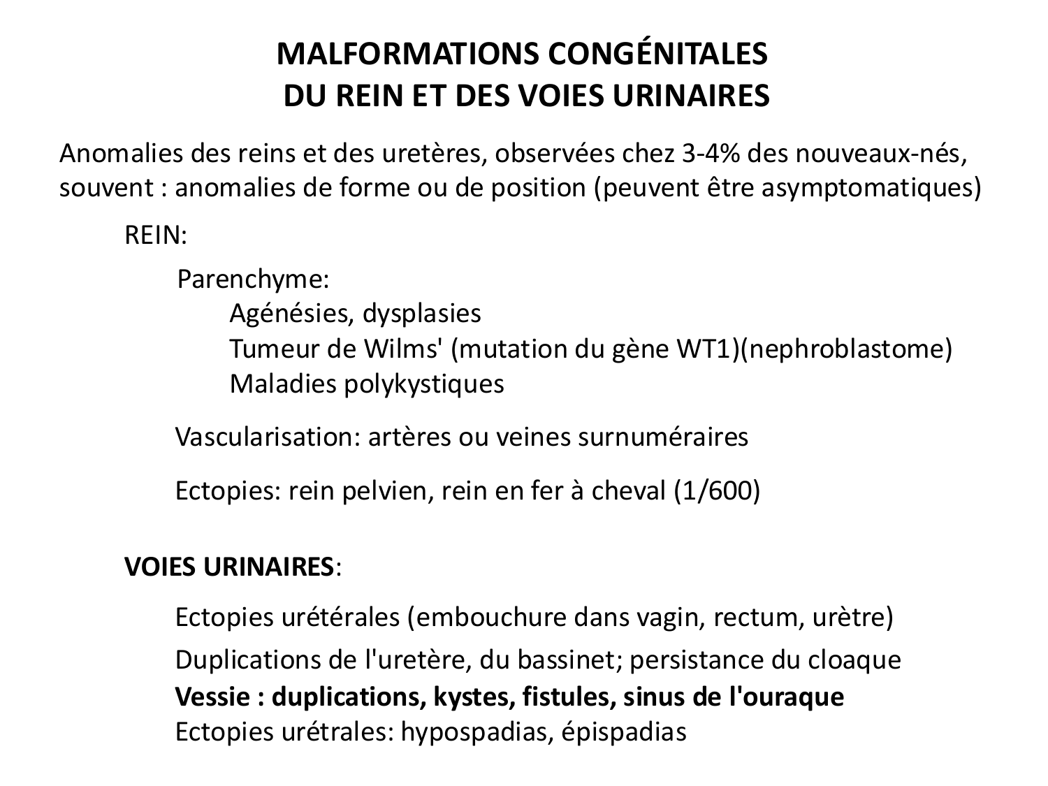 Dév Système Urinaire 2025-26 page 68