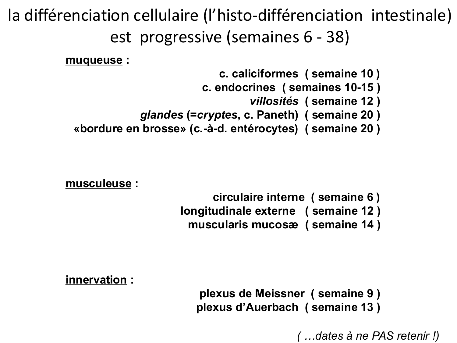 Développement Système Digestif 2025-6 page 49