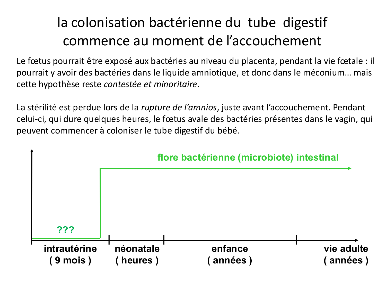 Développement Système Digestif 2025-6 page 57