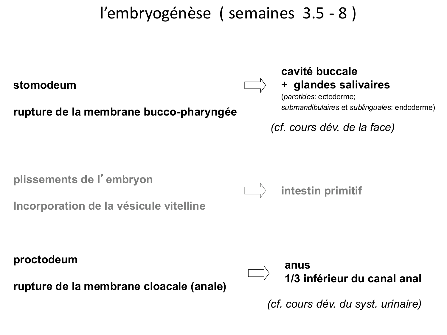 Développement Système Digestif 2025-6 page 78