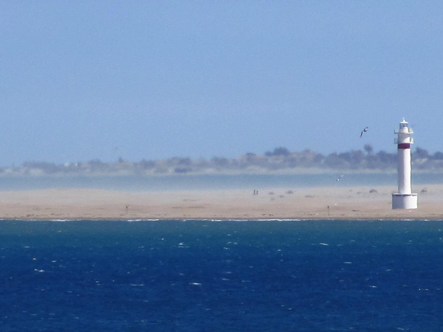 Développement Système Digestif 2025-6 page 90