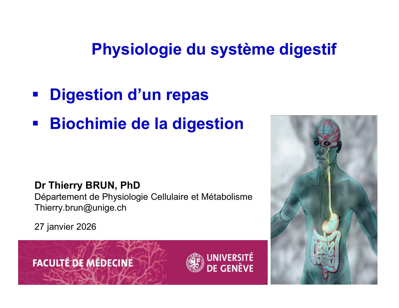 Digestion d’un repas page 1