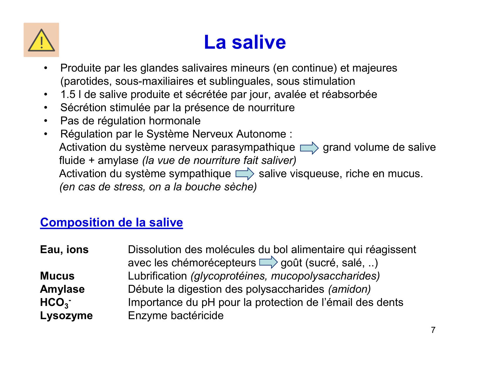 Digestion d’un repas page 7
