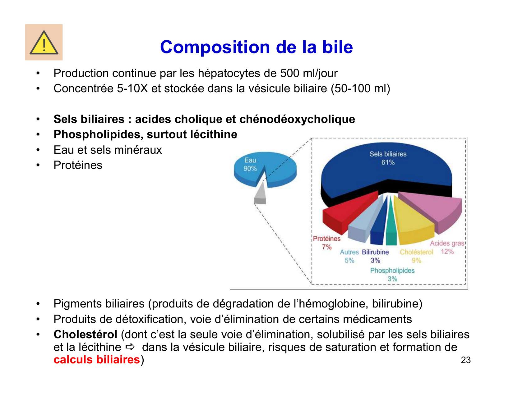 Digestion d’un repas page 23