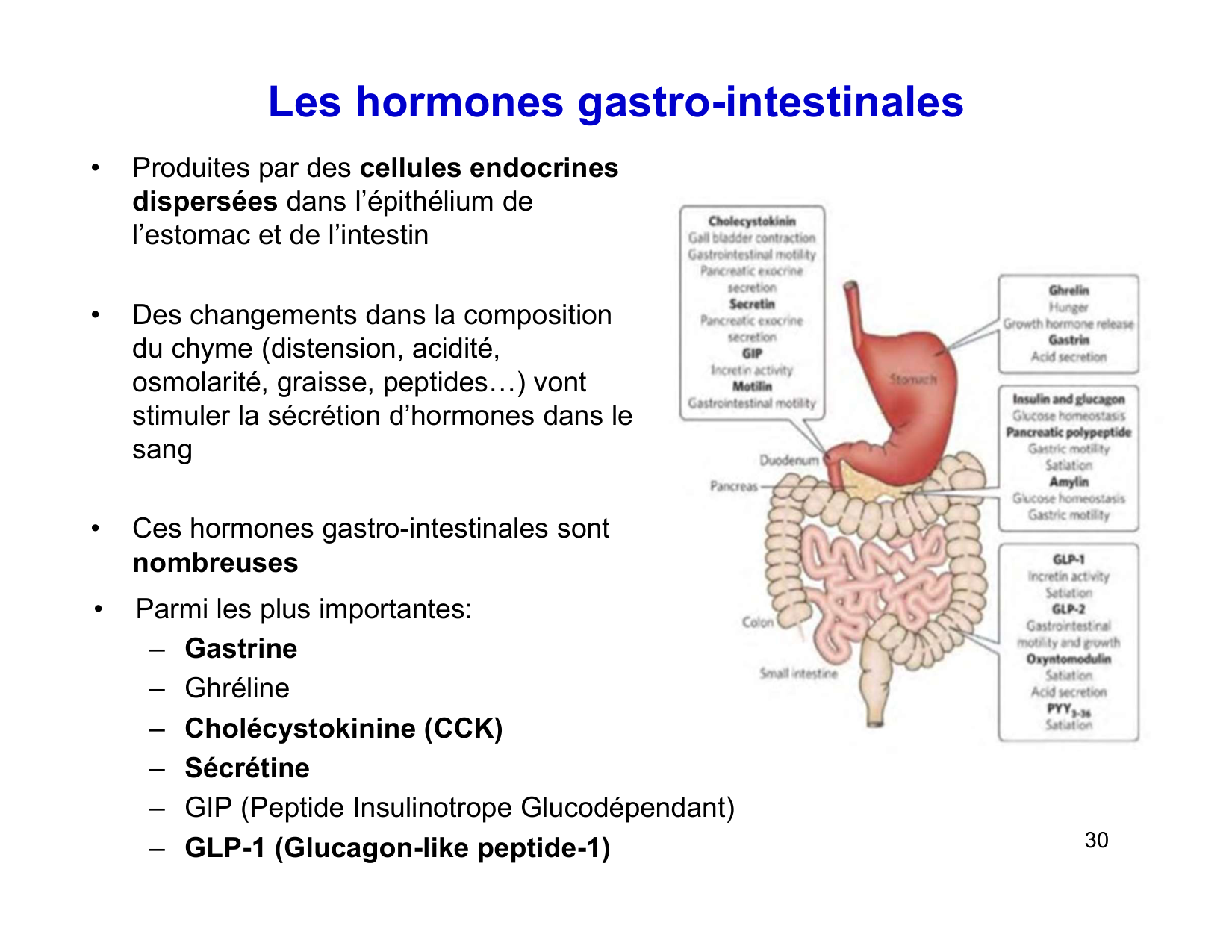 Digestion d’un repas page 30