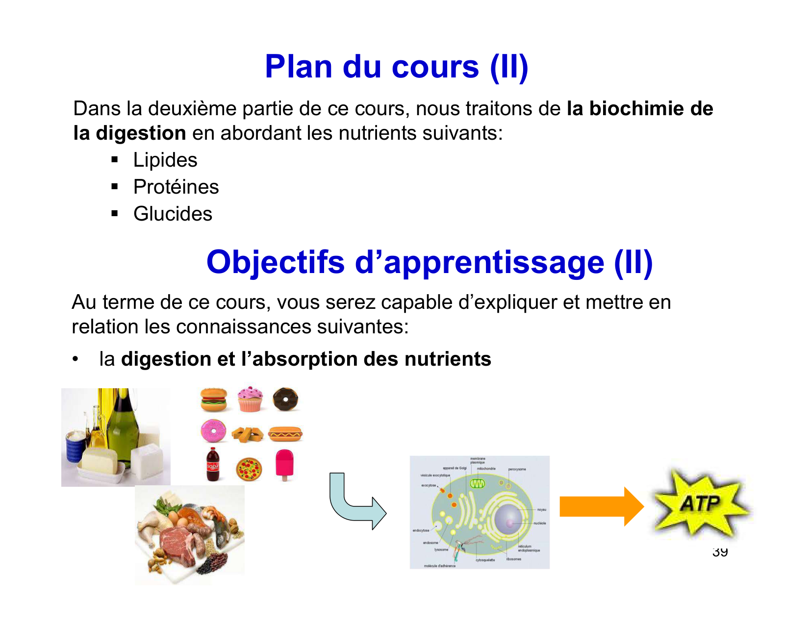 Digestion d’un repas page 39