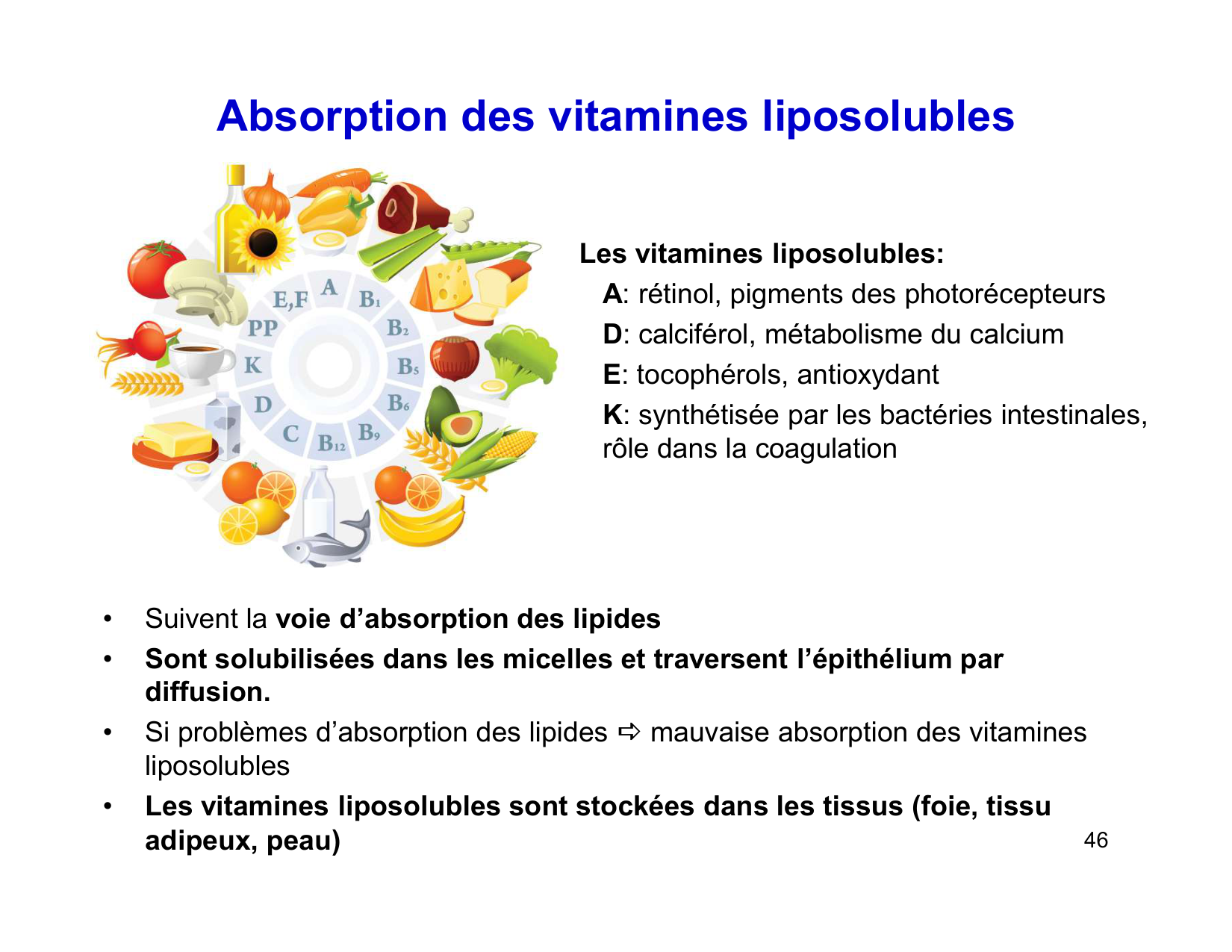 Digestion d’un repas page 46