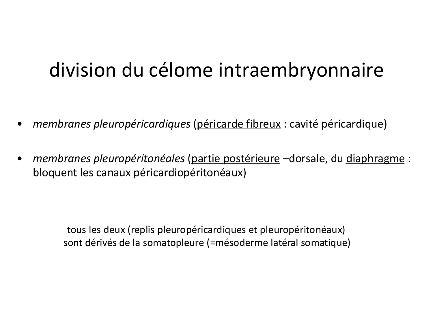 FACE, Arcs branchiaux, Diaphragme Système respiratoire 2026 page 21