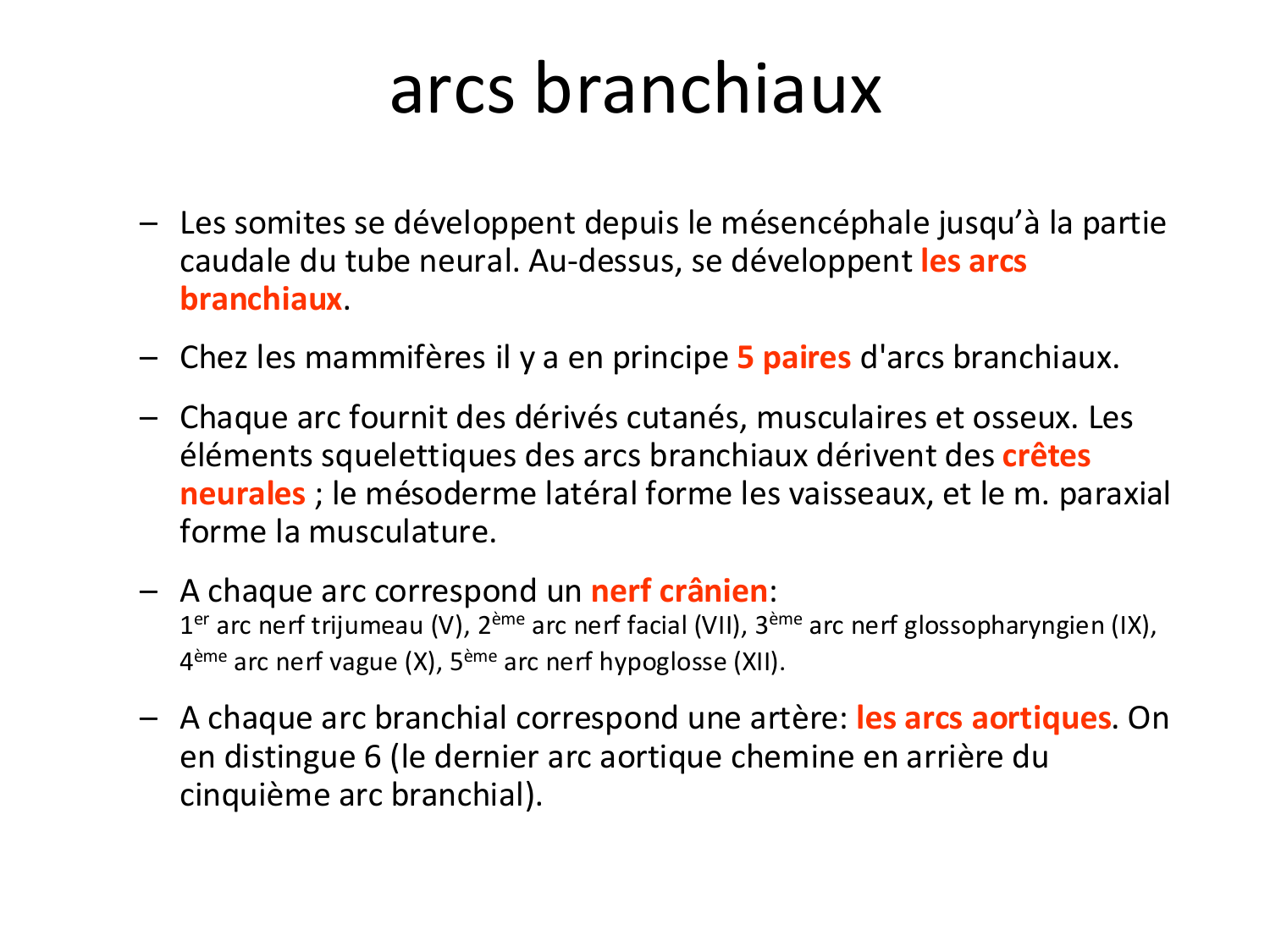 FACE, Arcs branchiaux, Diaphragme Système respiratoire 2026 page 34
