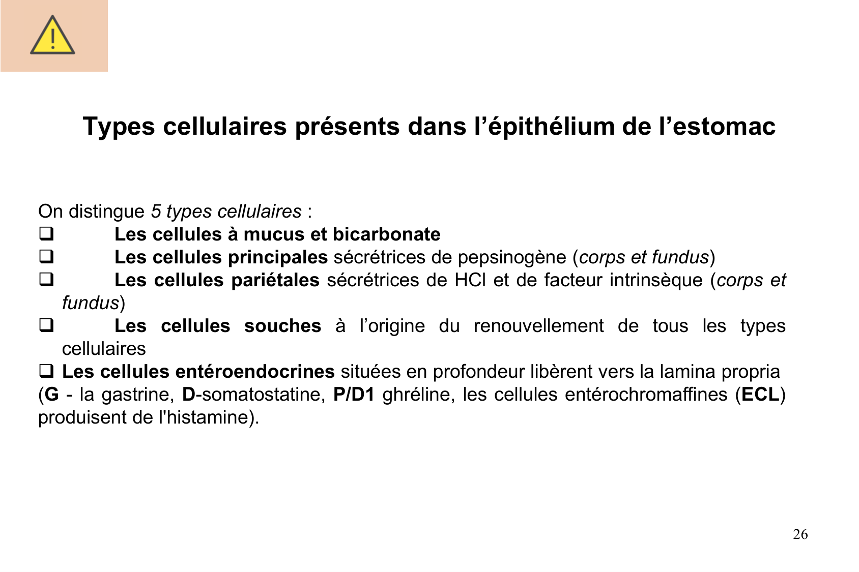 Histophysiologie digestive page 26