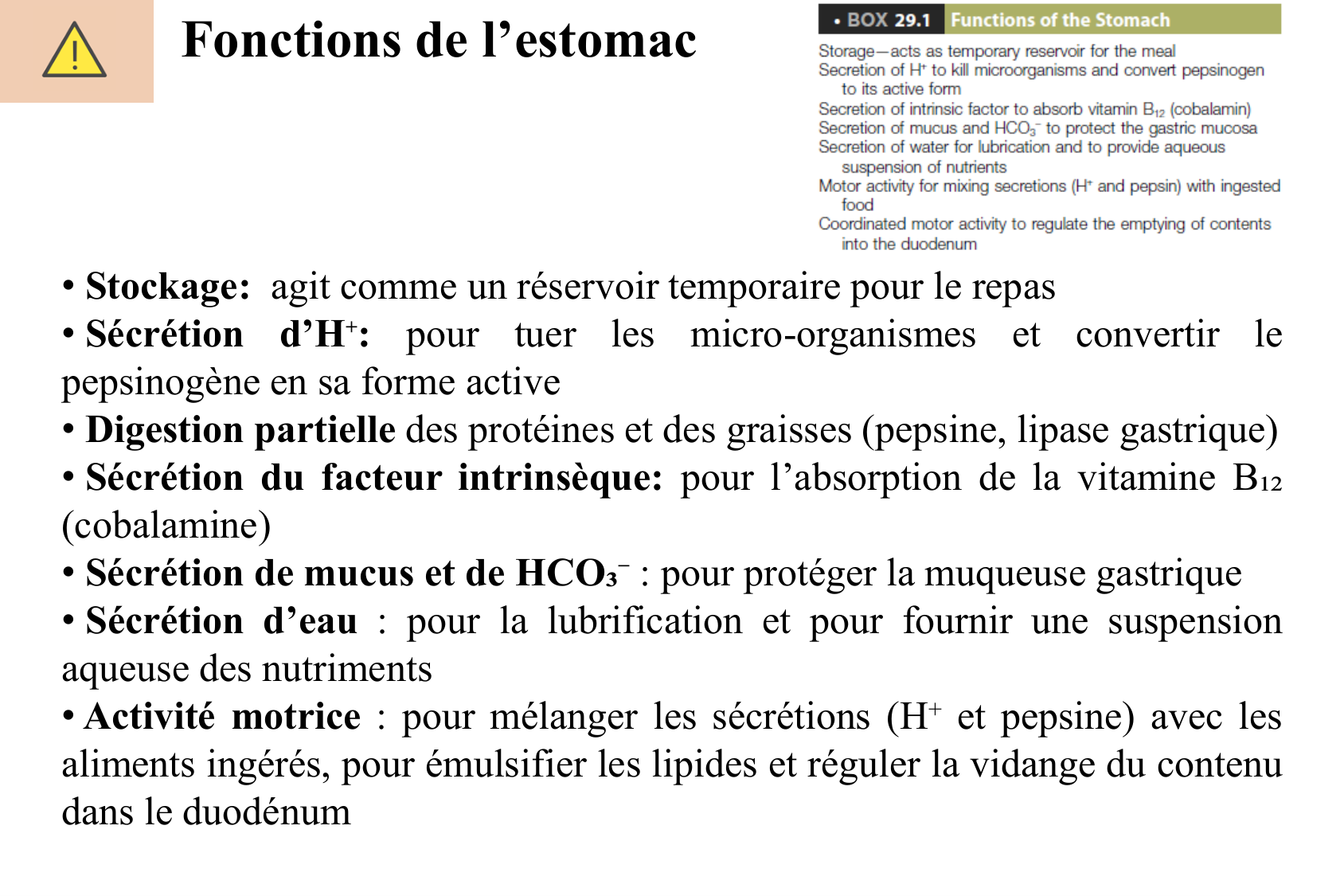 Histophysiologie digestive page 27