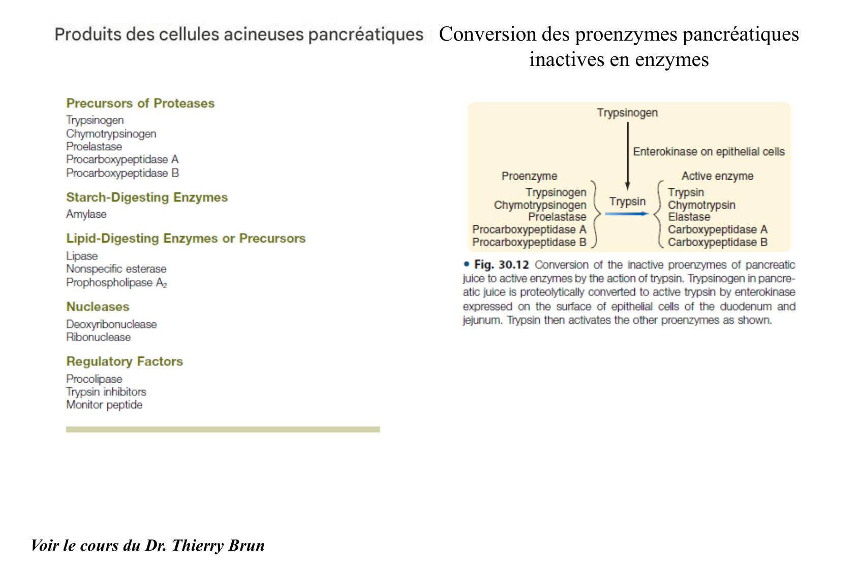 Histophysiologie digestive page 54