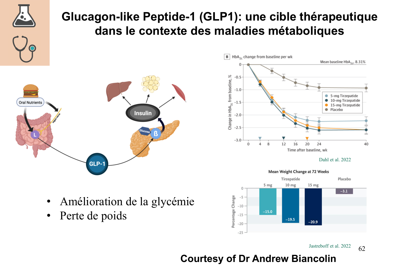 Histophysiologie digestive page 62