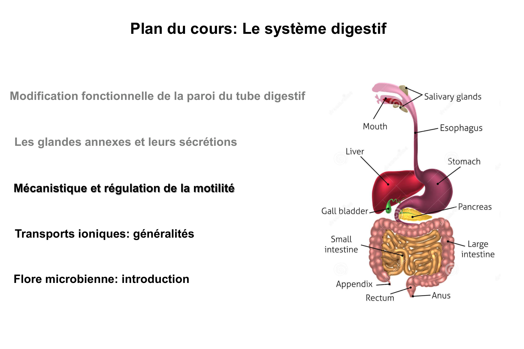 Motilité, transport et flore page 5