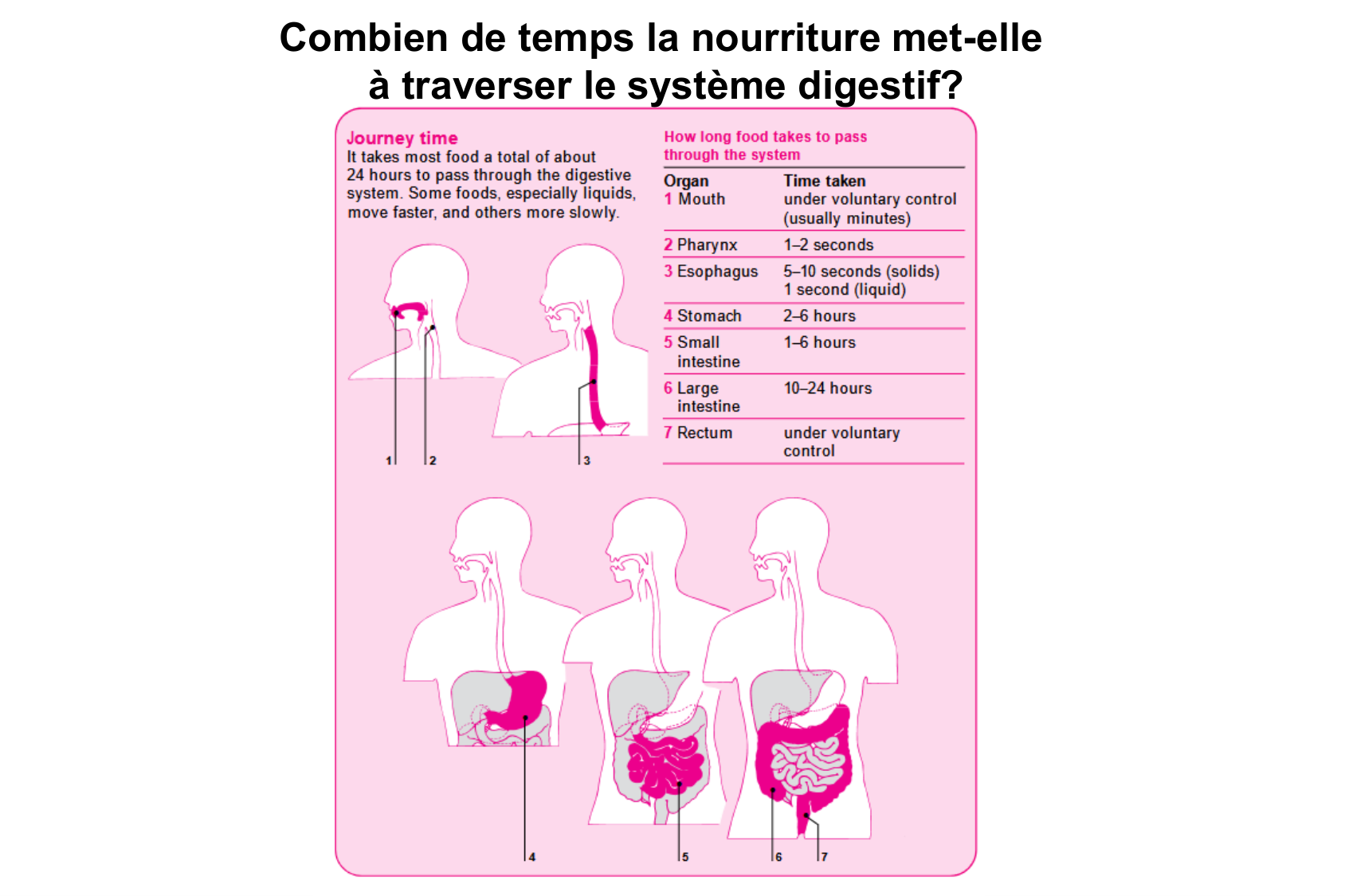 Motilité, transport et flore page 6