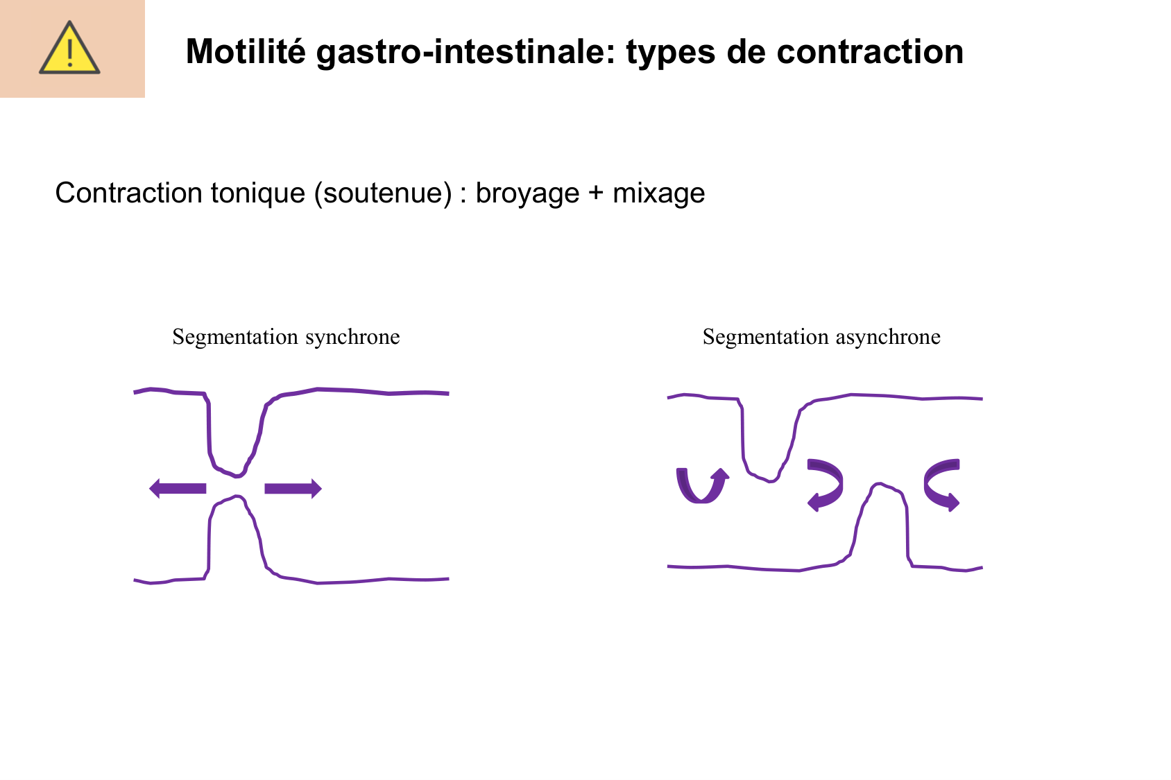 Motilité, transport et flore page 13