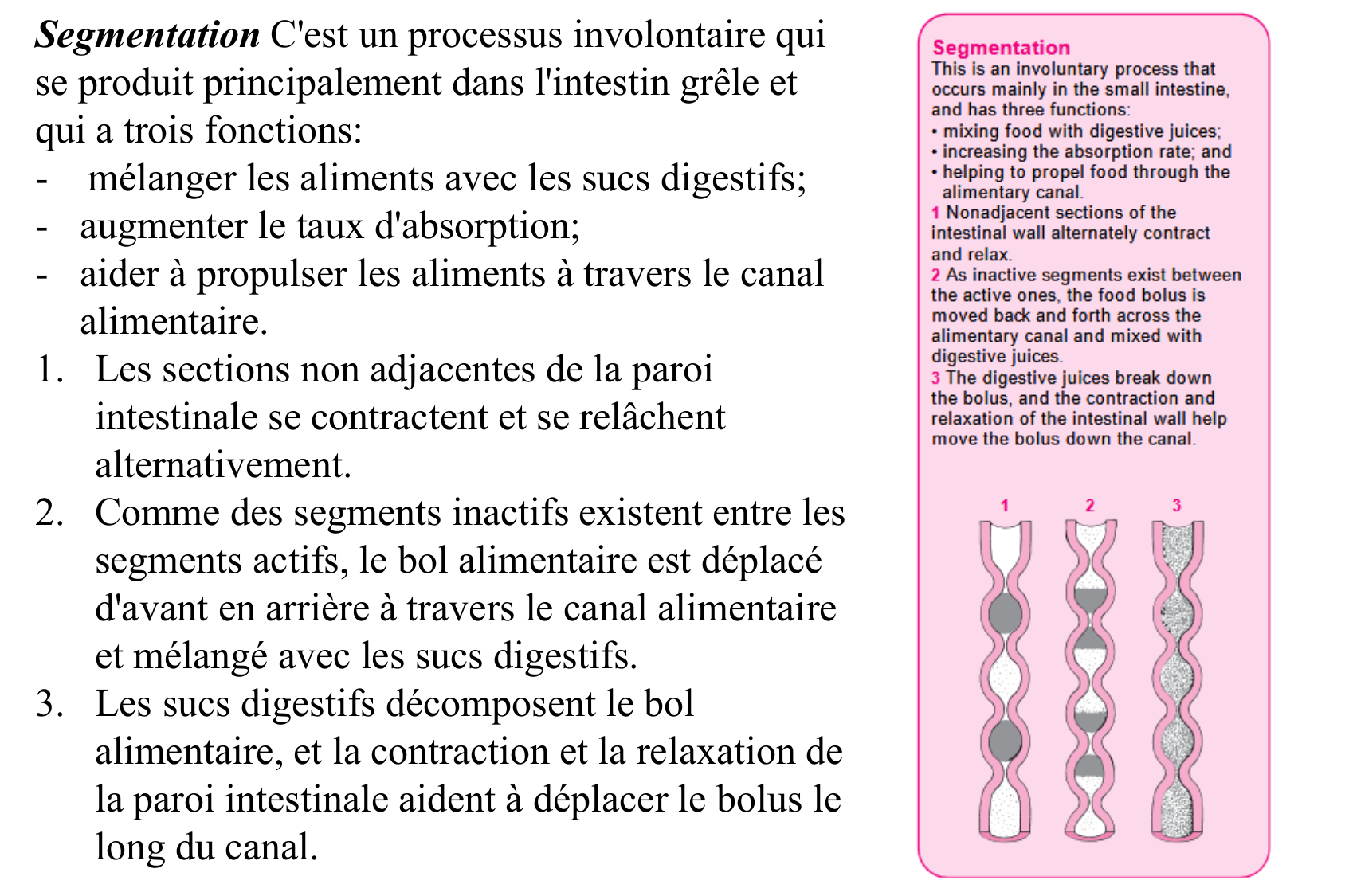 Motilité, transport et flore page 18