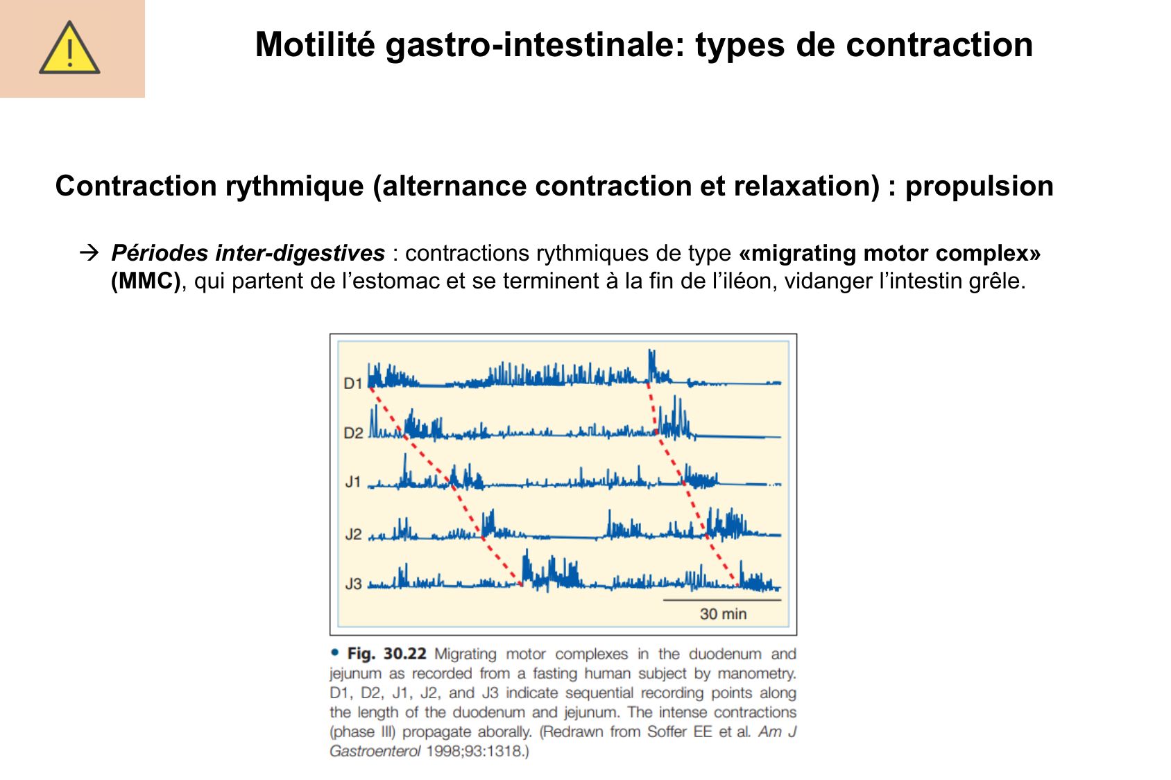 Motilité, transport et flore page 21