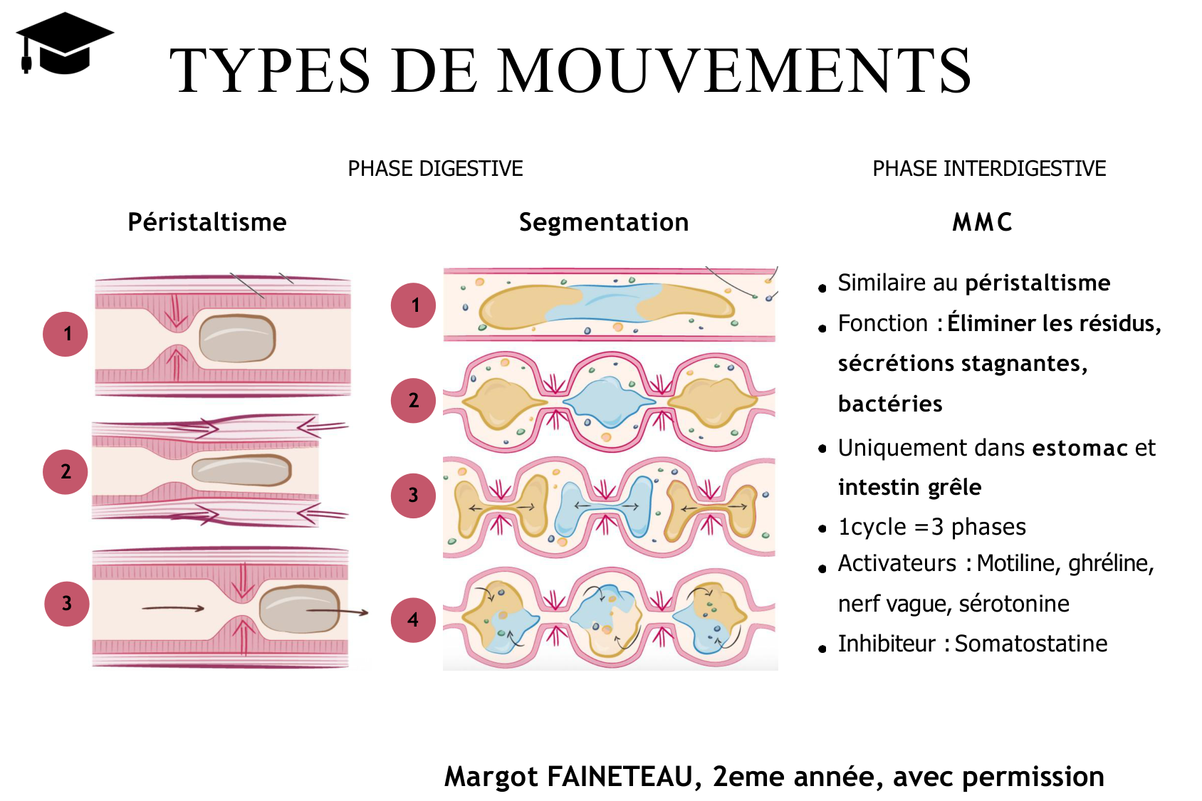 Motilité, transport et flore page 22