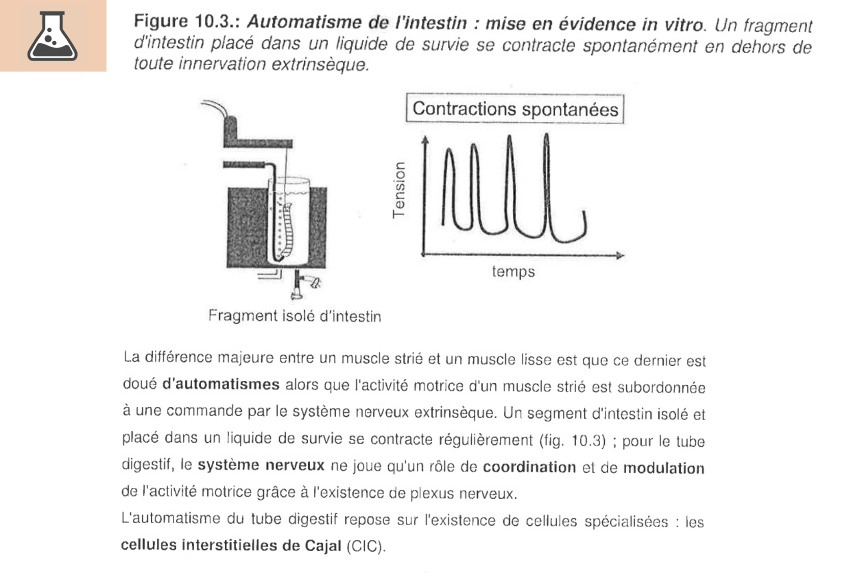 Motilité, transport et flore page 24