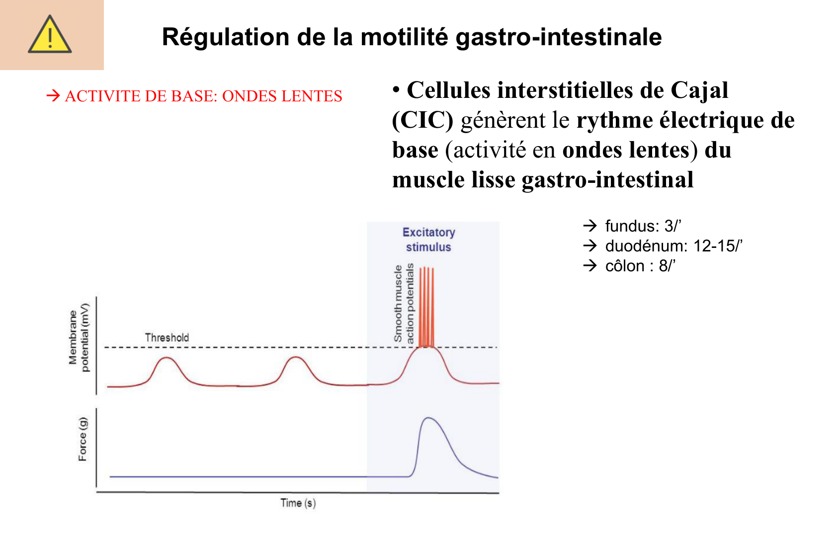 Motilité, transport et flore page 25