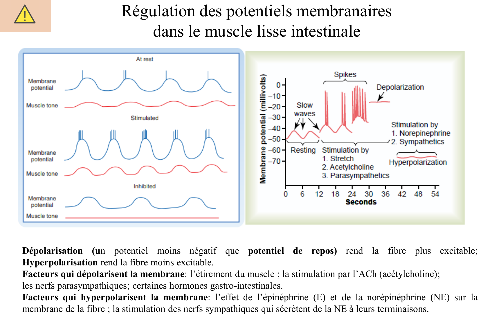 Motilité, transport et flore page 35