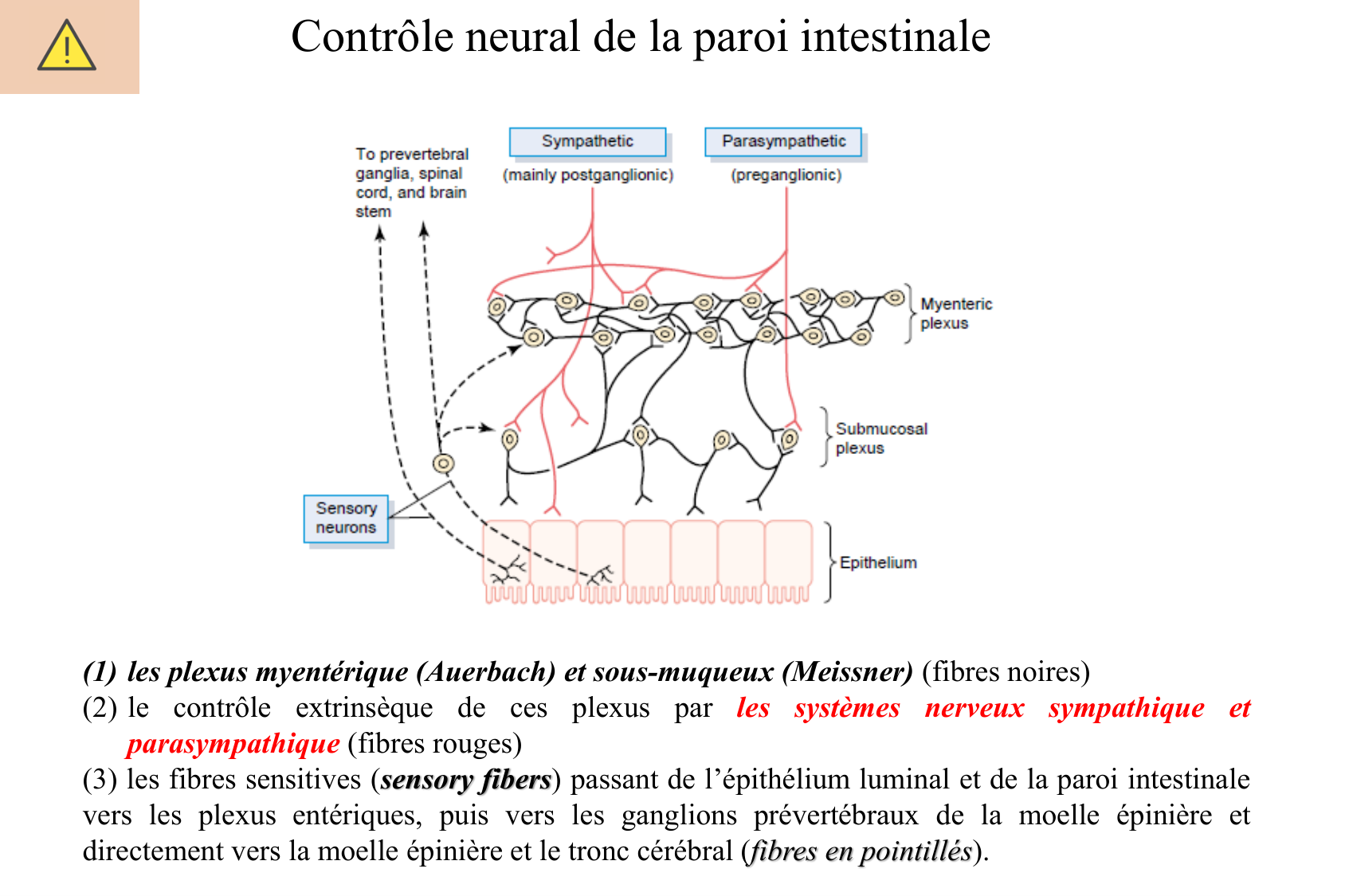 Motilité, transport et flore page 38