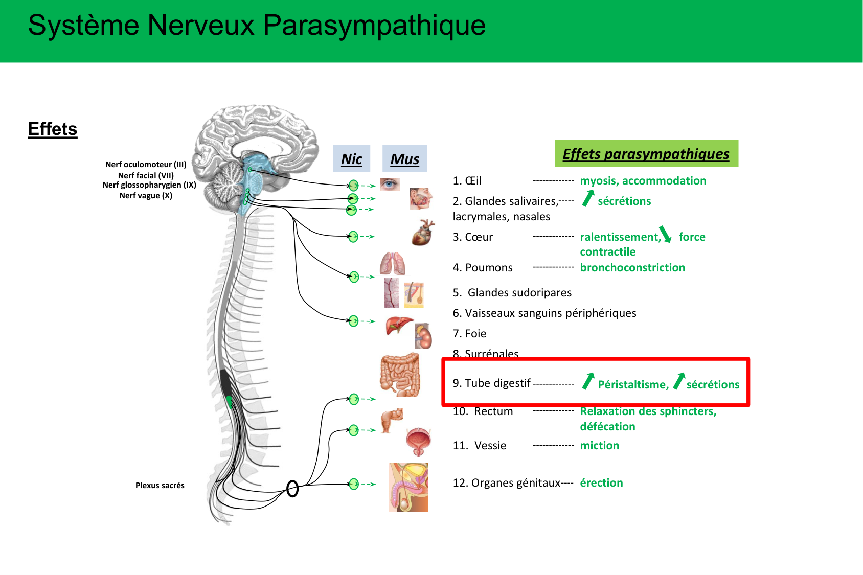 Motilité, transport et flore page 41