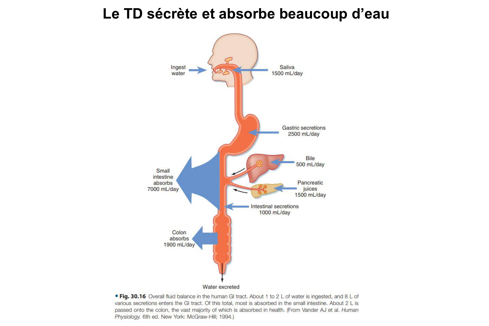 Motilité, transport et flore page 55