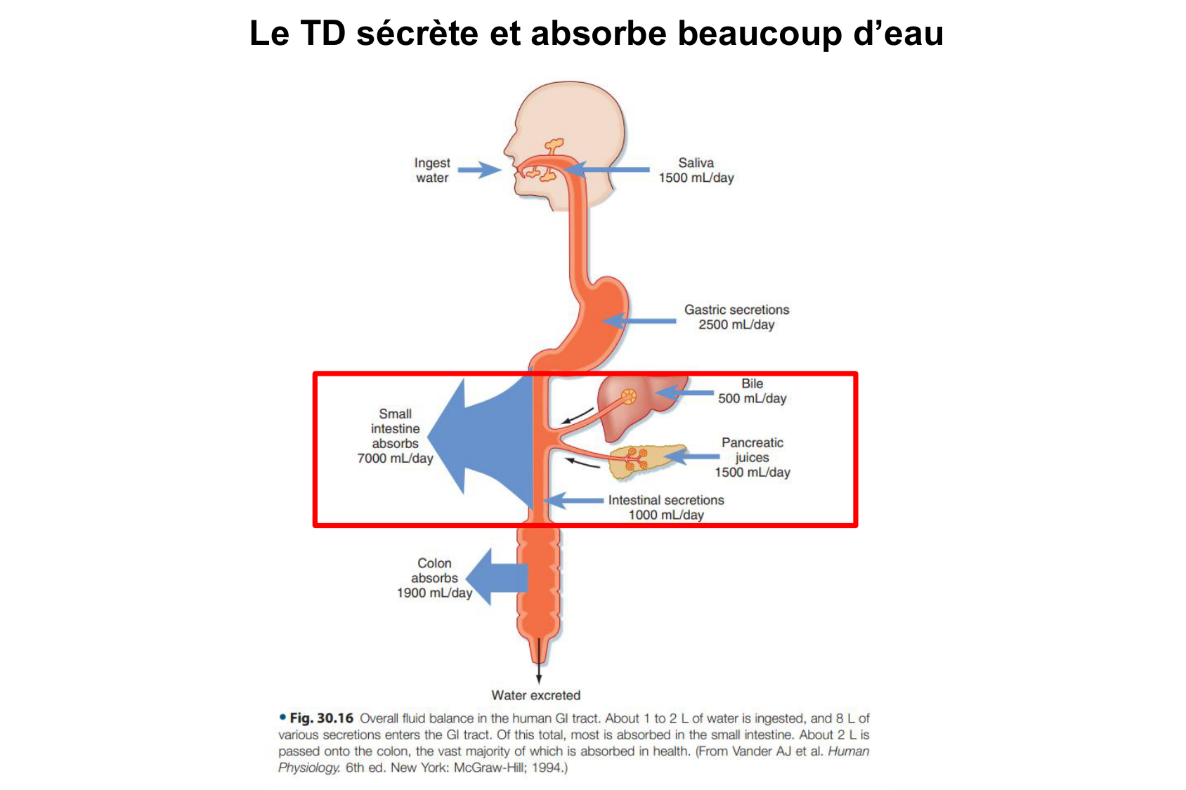 Motilité, transport et flore page 57
