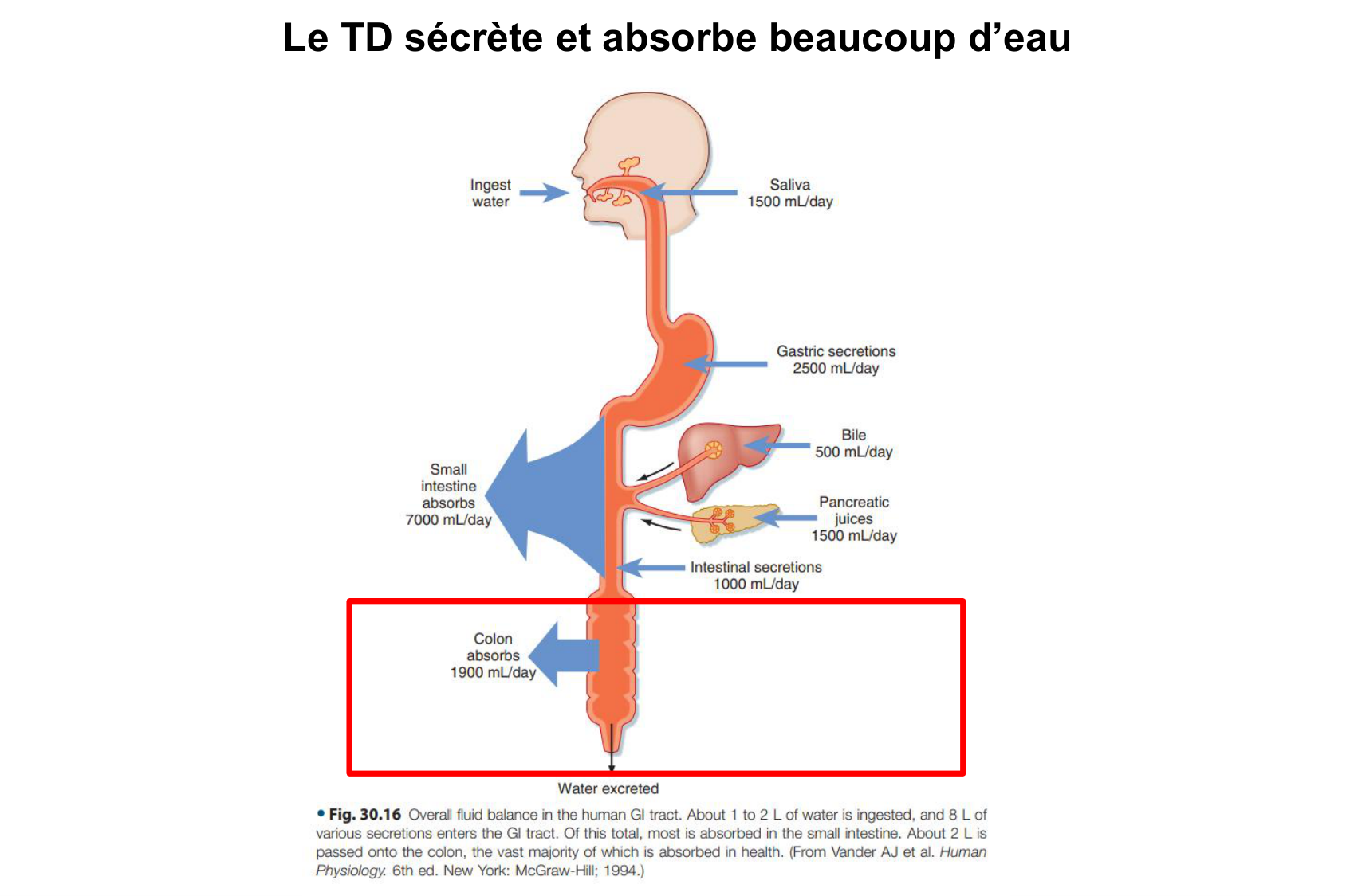 Motilité, transport et flore page 61