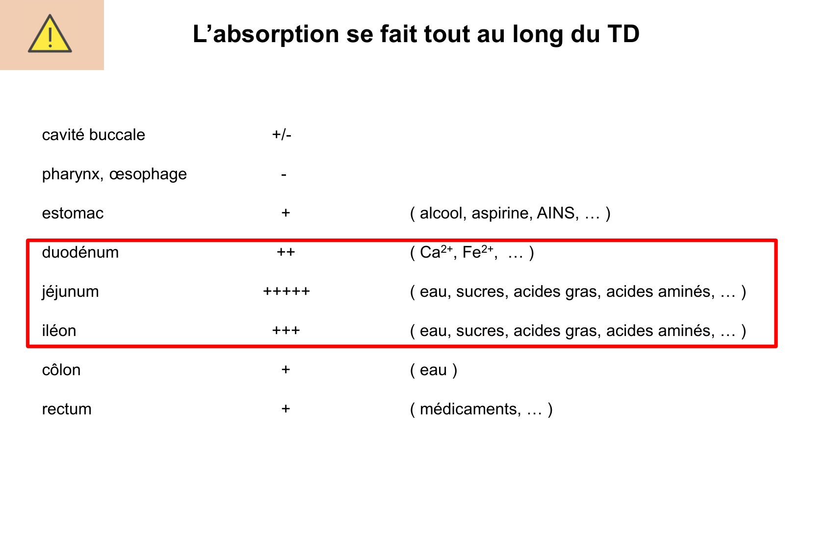 Motilité, transport et flore page 67