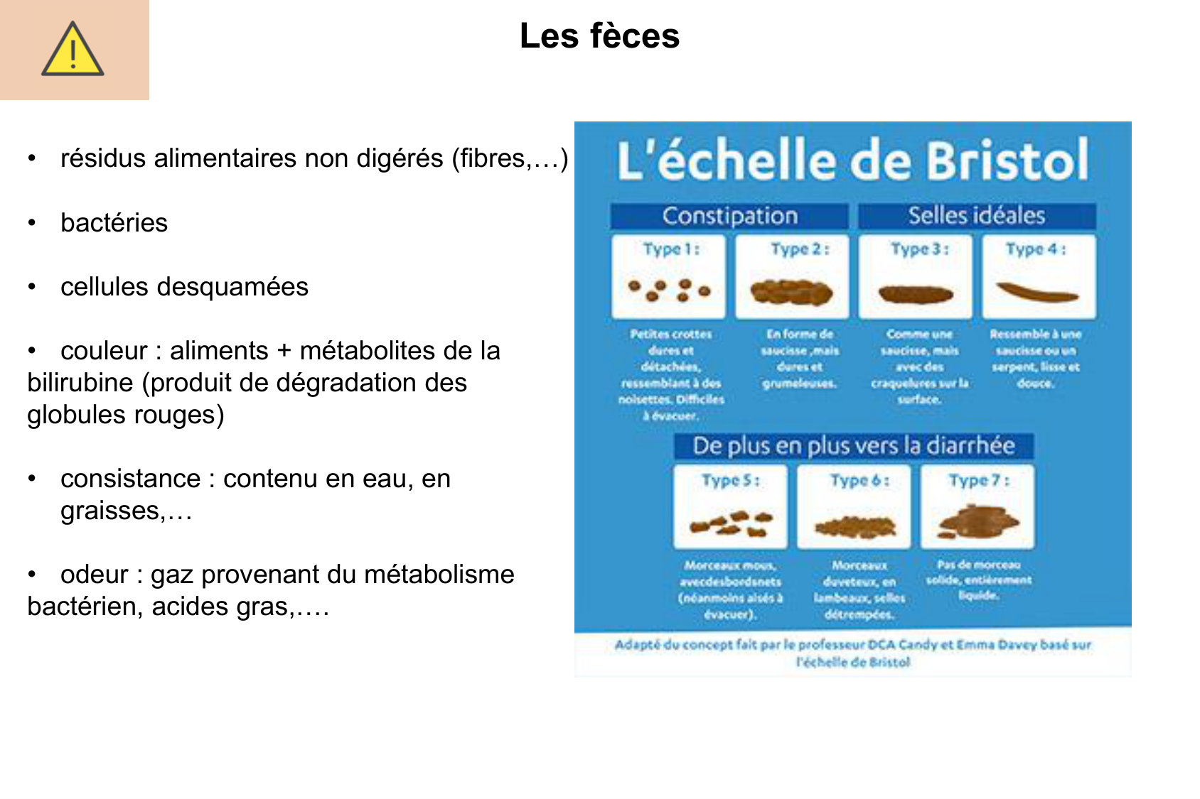 Motilité, transport et flore page 68
