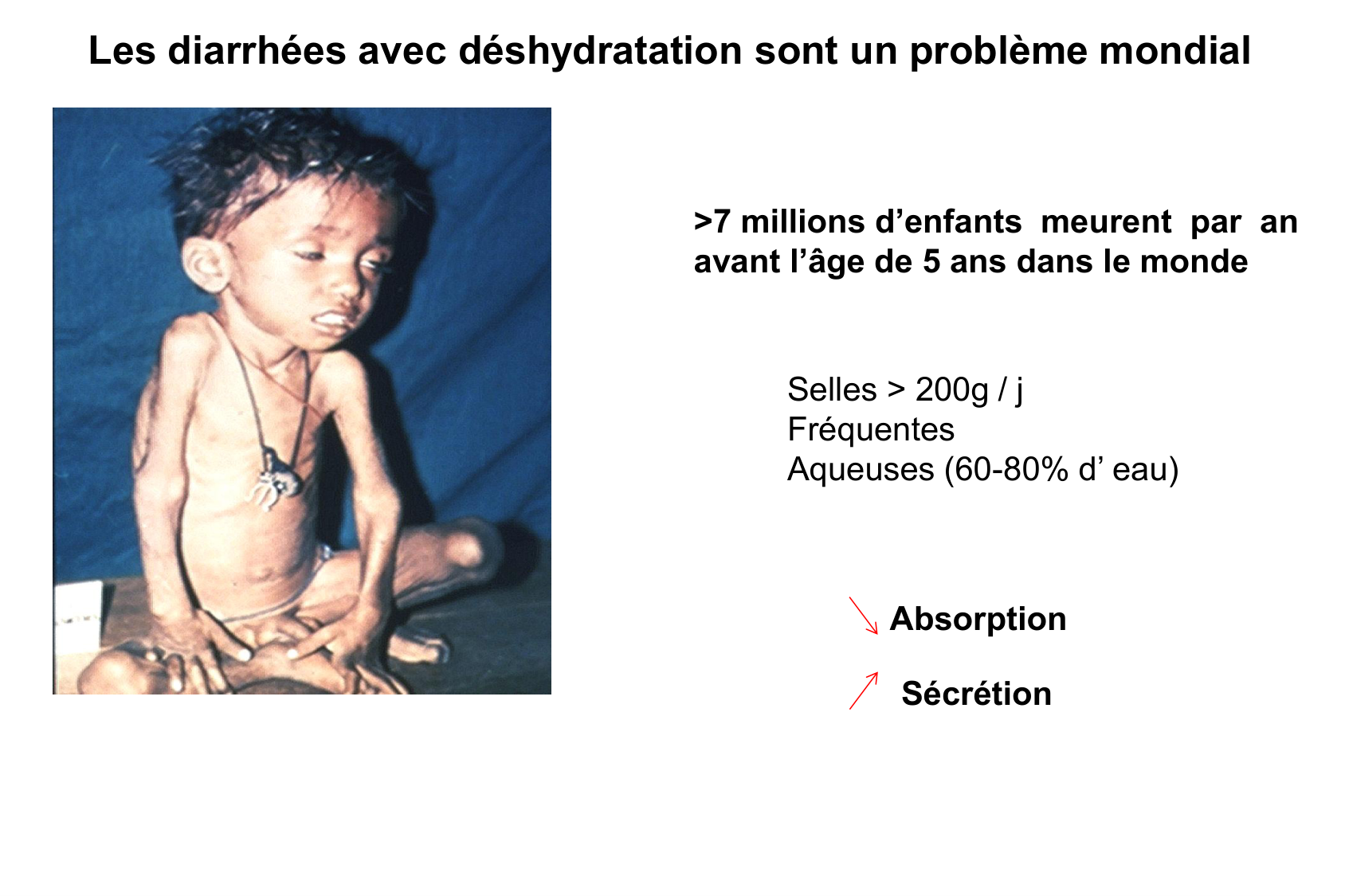 Motilité, transport et flore page 69