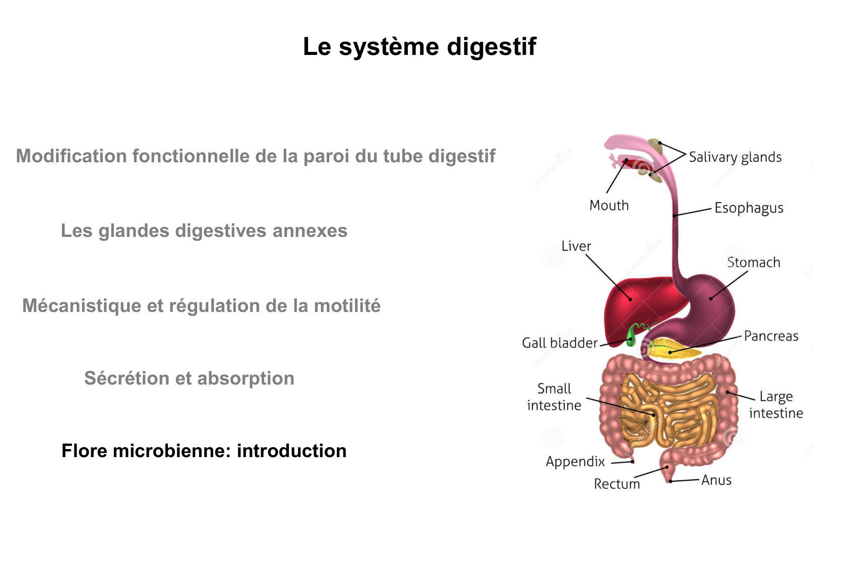 Motilité, transport et flore page 75