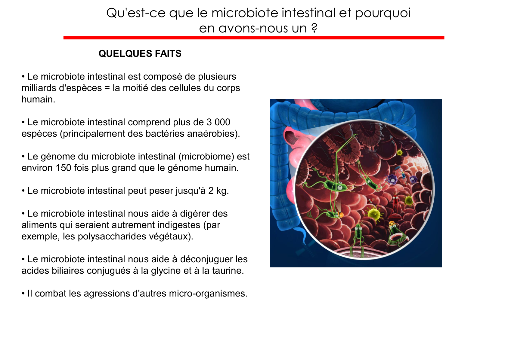 Motilité, transport et flore page 78