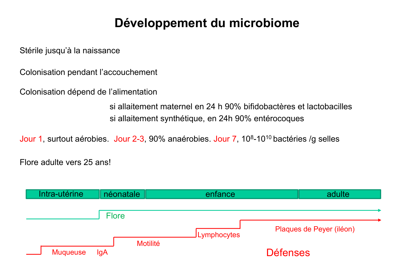 Motilité, transport et flore page 81