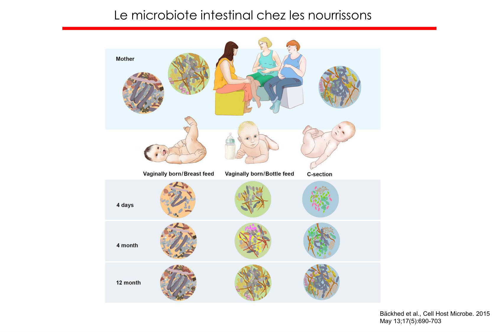 Motilité, transport et flore page 82