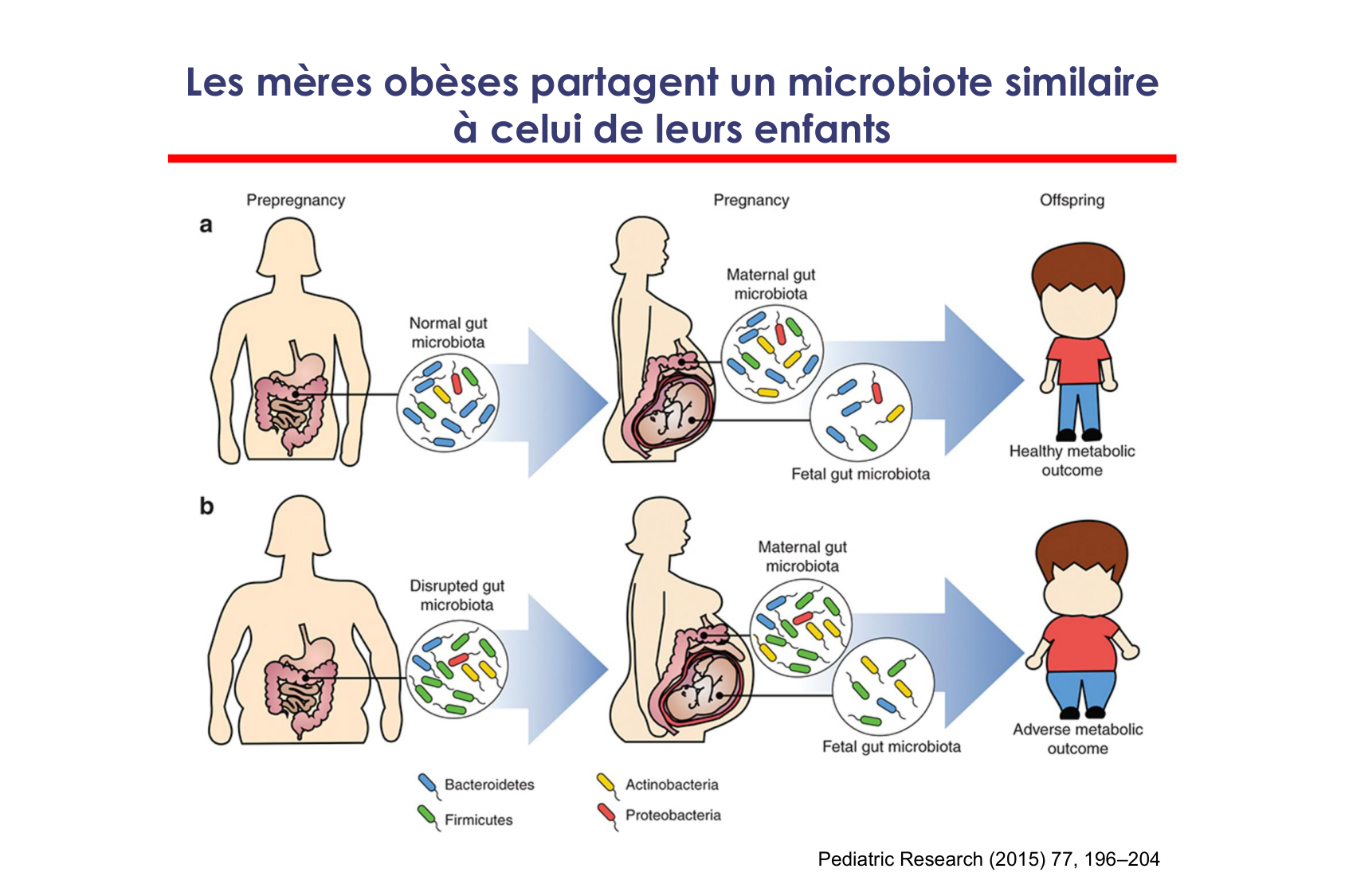 Motilité, transport et flore page 83