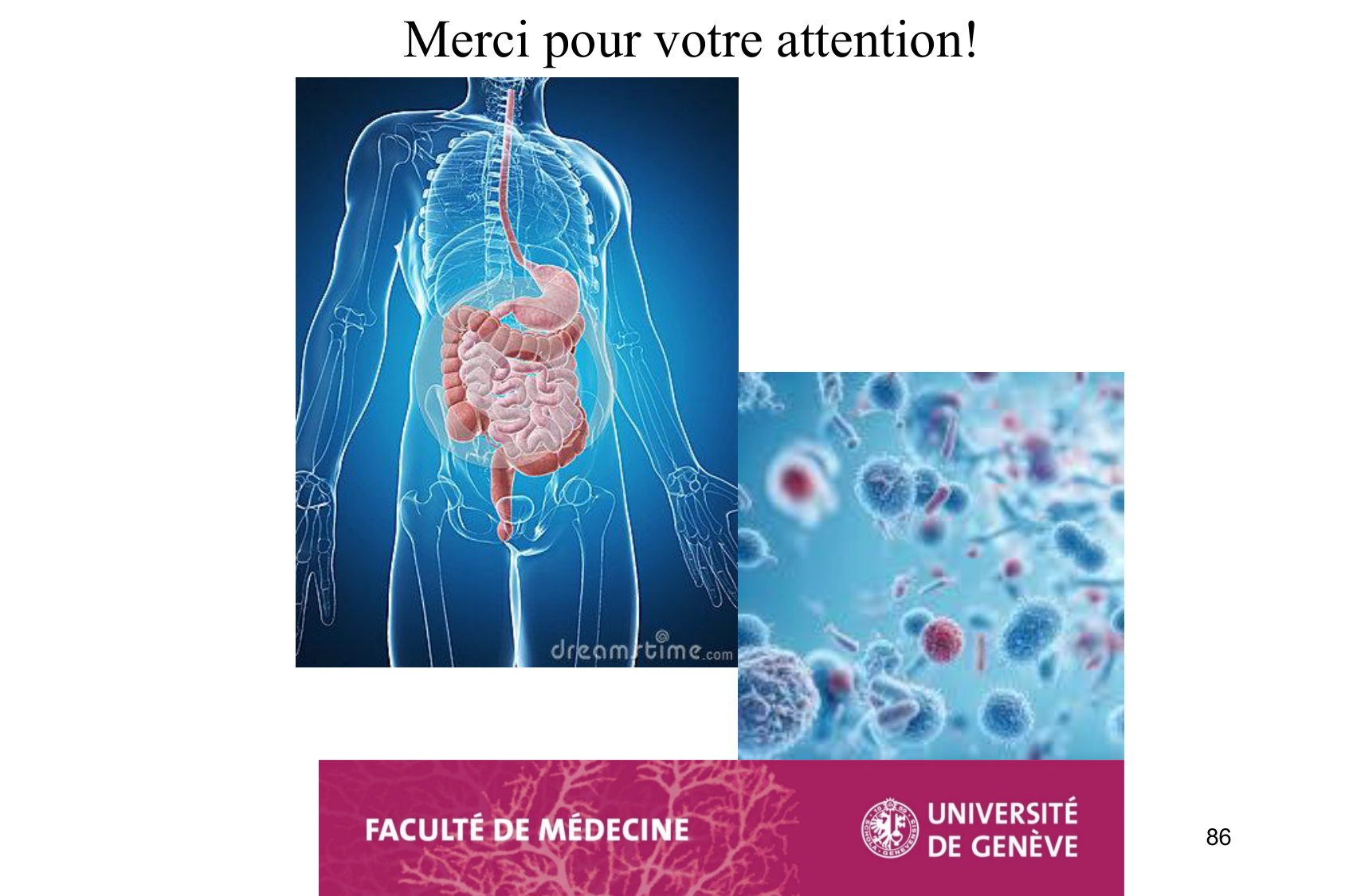 Motilité, transport et flore page 86