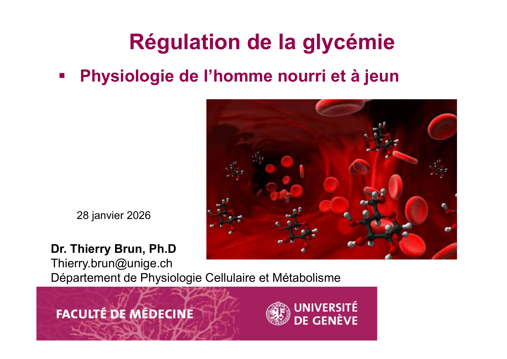 Régulation de la glycémie page 1