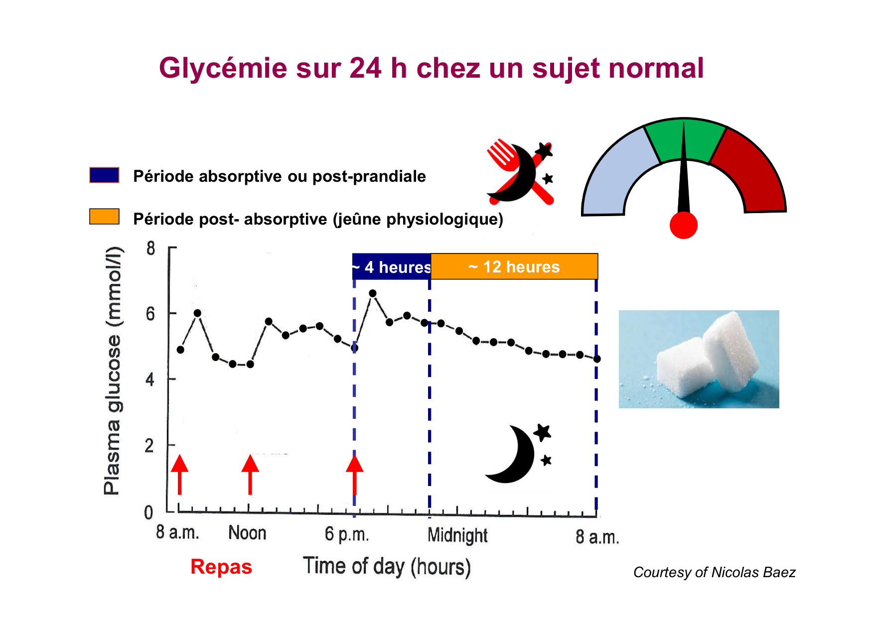Régulation de la glycémie page 3