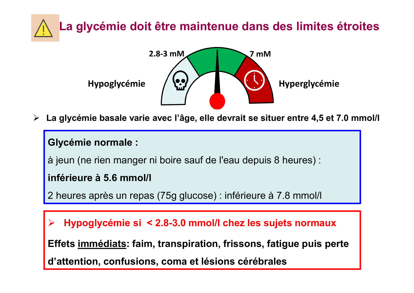 Régulation de la glycémie page 4