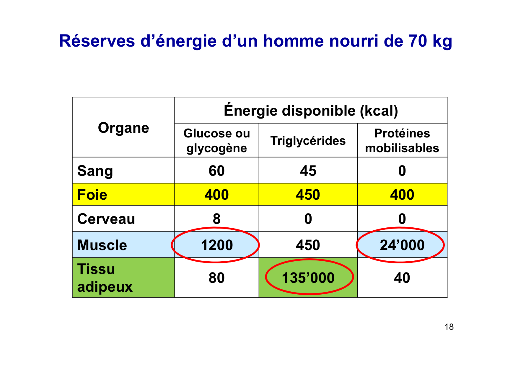 Régulation de la glycémie page 18