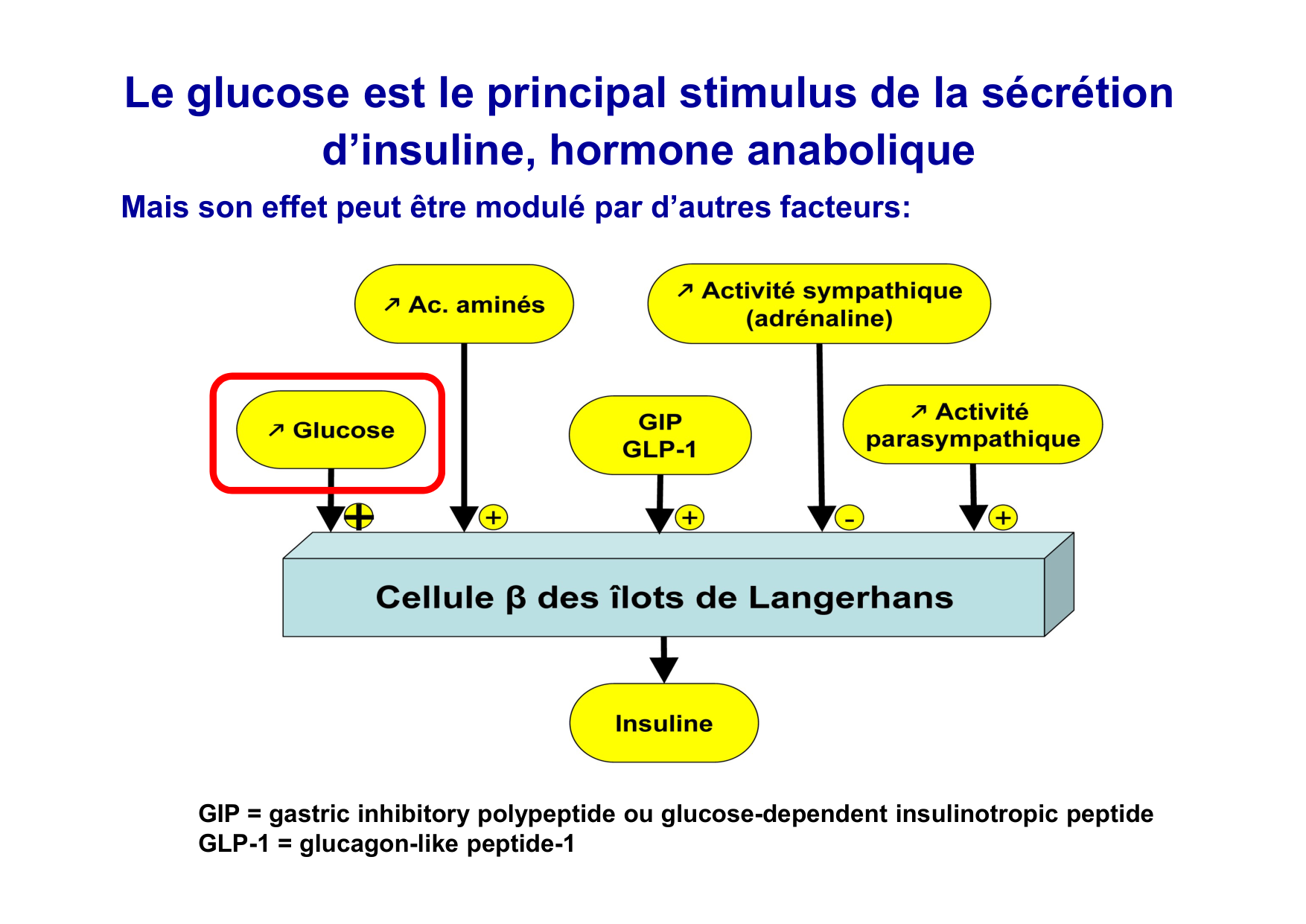Régulation de la glycémie page 21