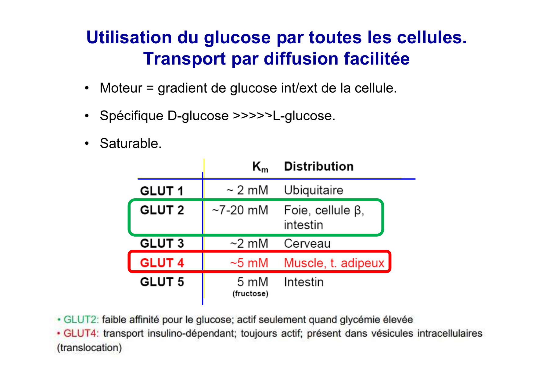Régulation de la glycémie page 28