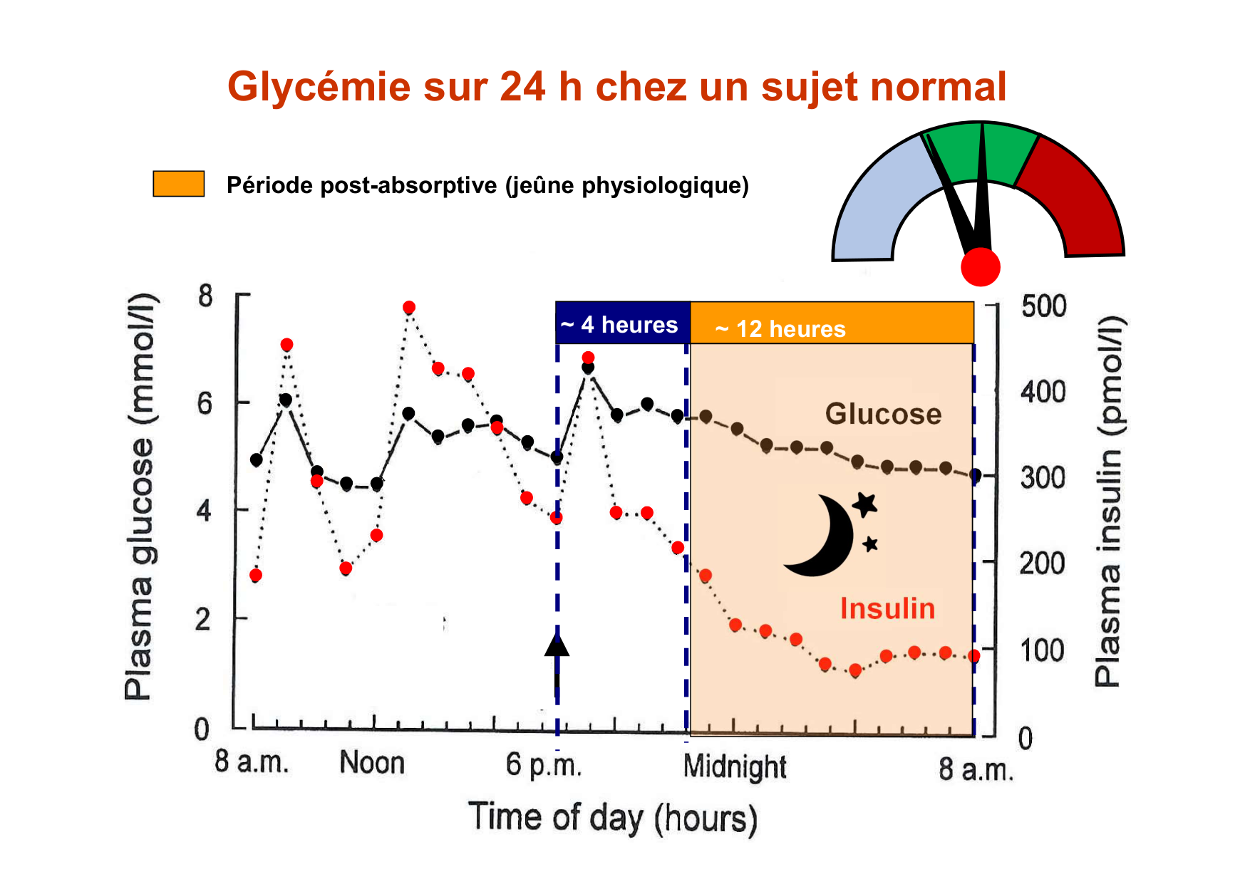 Régulation de la glycémie page 37