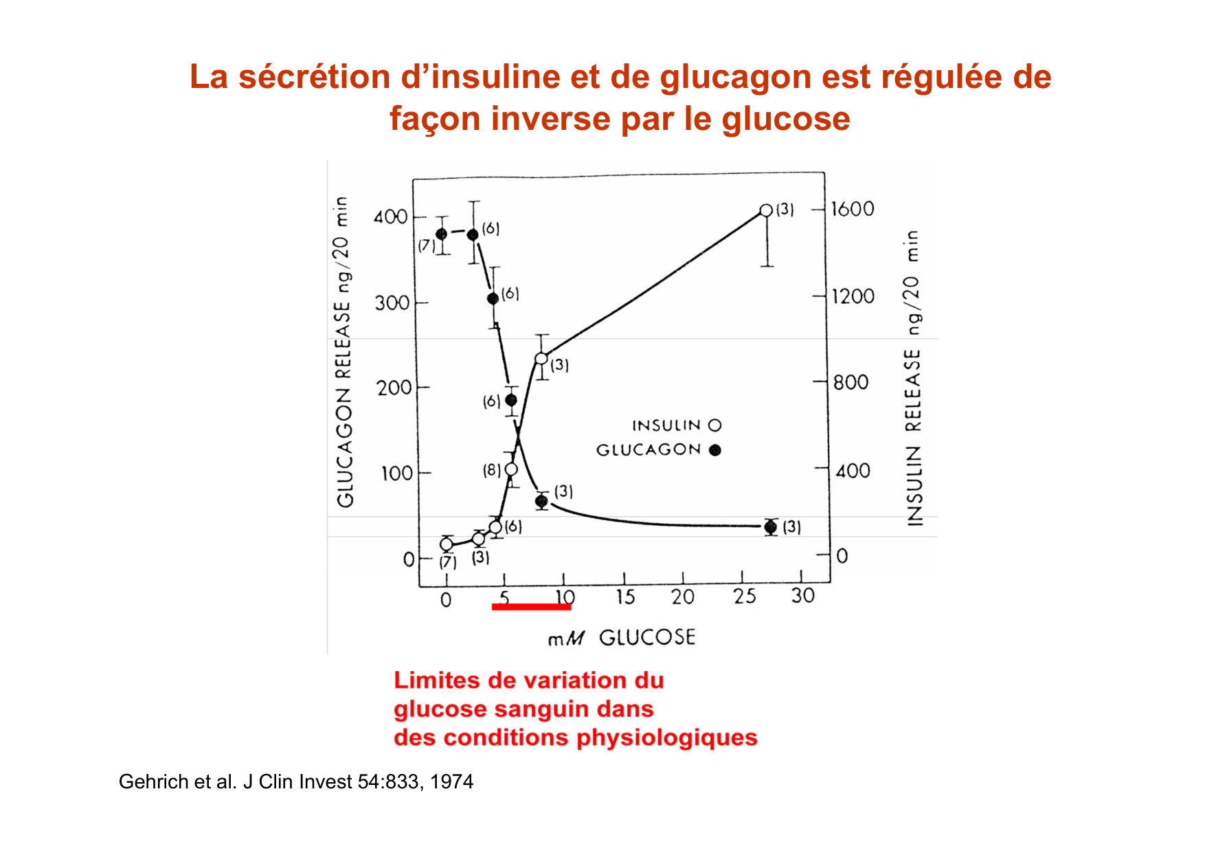 Régulation de la glycémie page 38