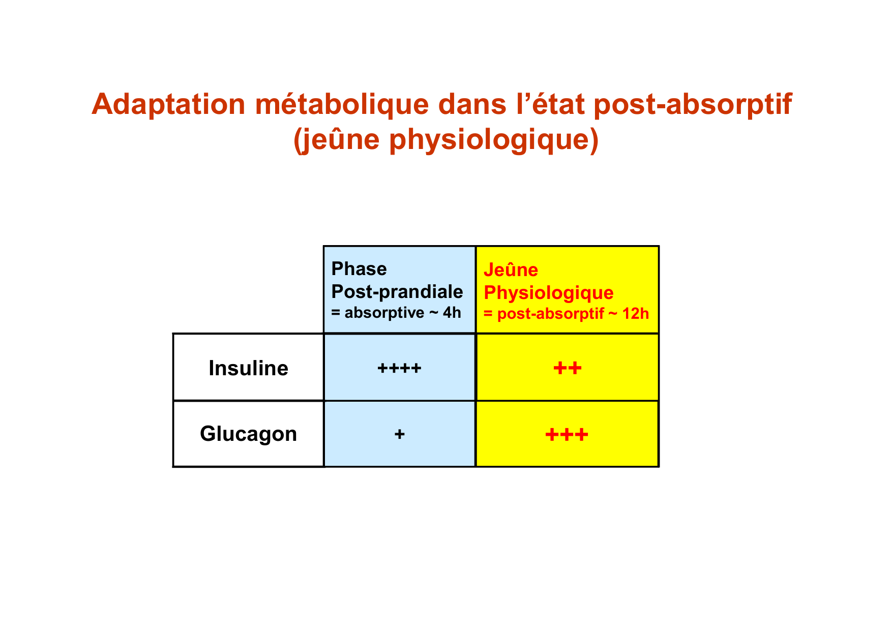 Régulation de la glycémie page 39